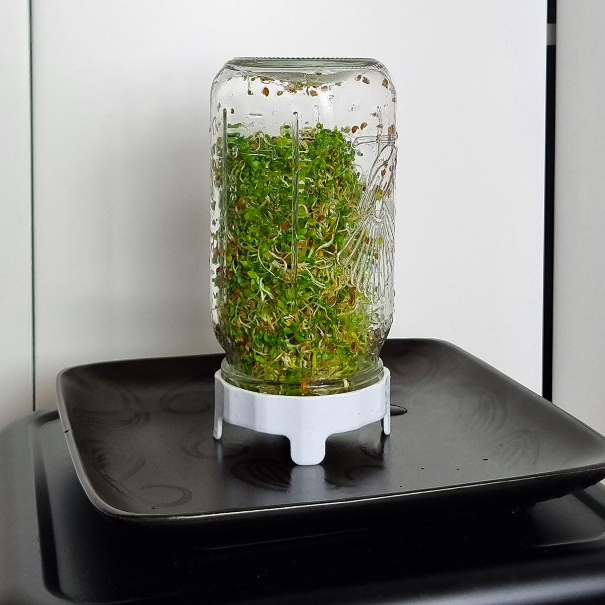 Goodlife - Sprouting Jar Kit 1 Litre**