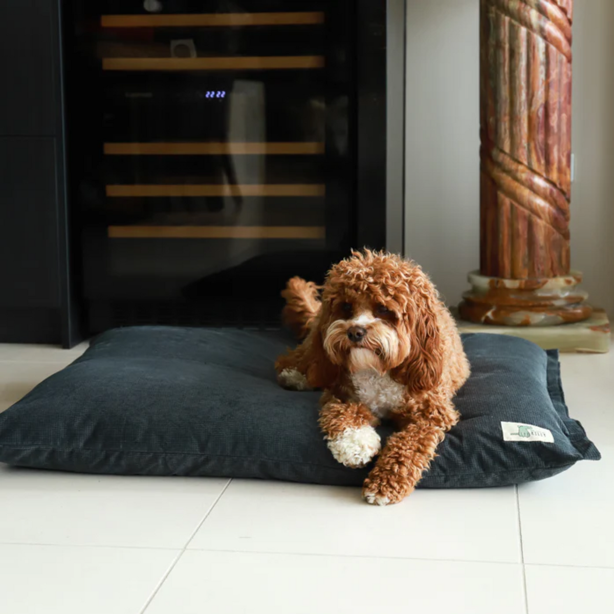 Life of Riley - Spare Cover for The Swag Bed*