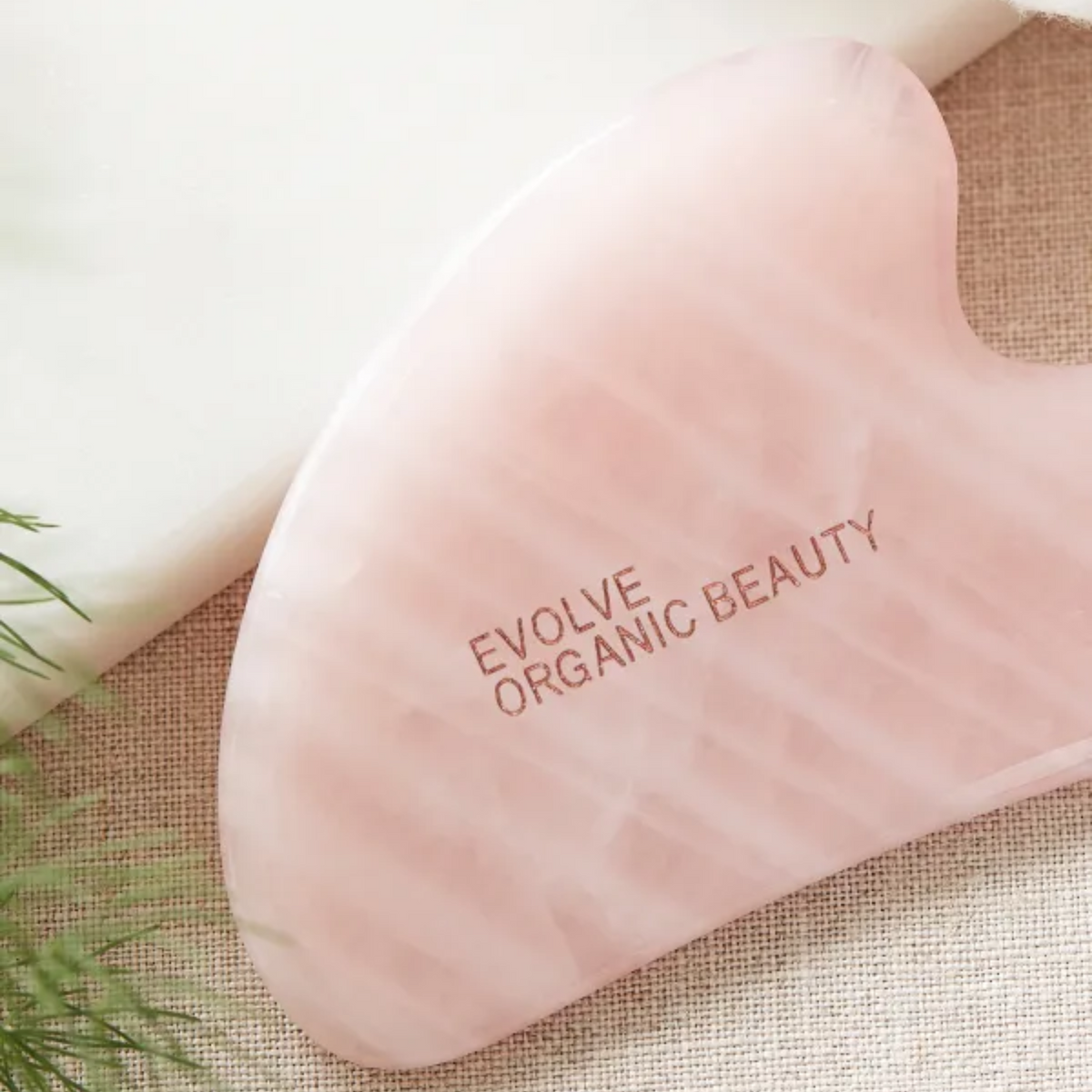Evolve - Rose Quartz Gua Sha