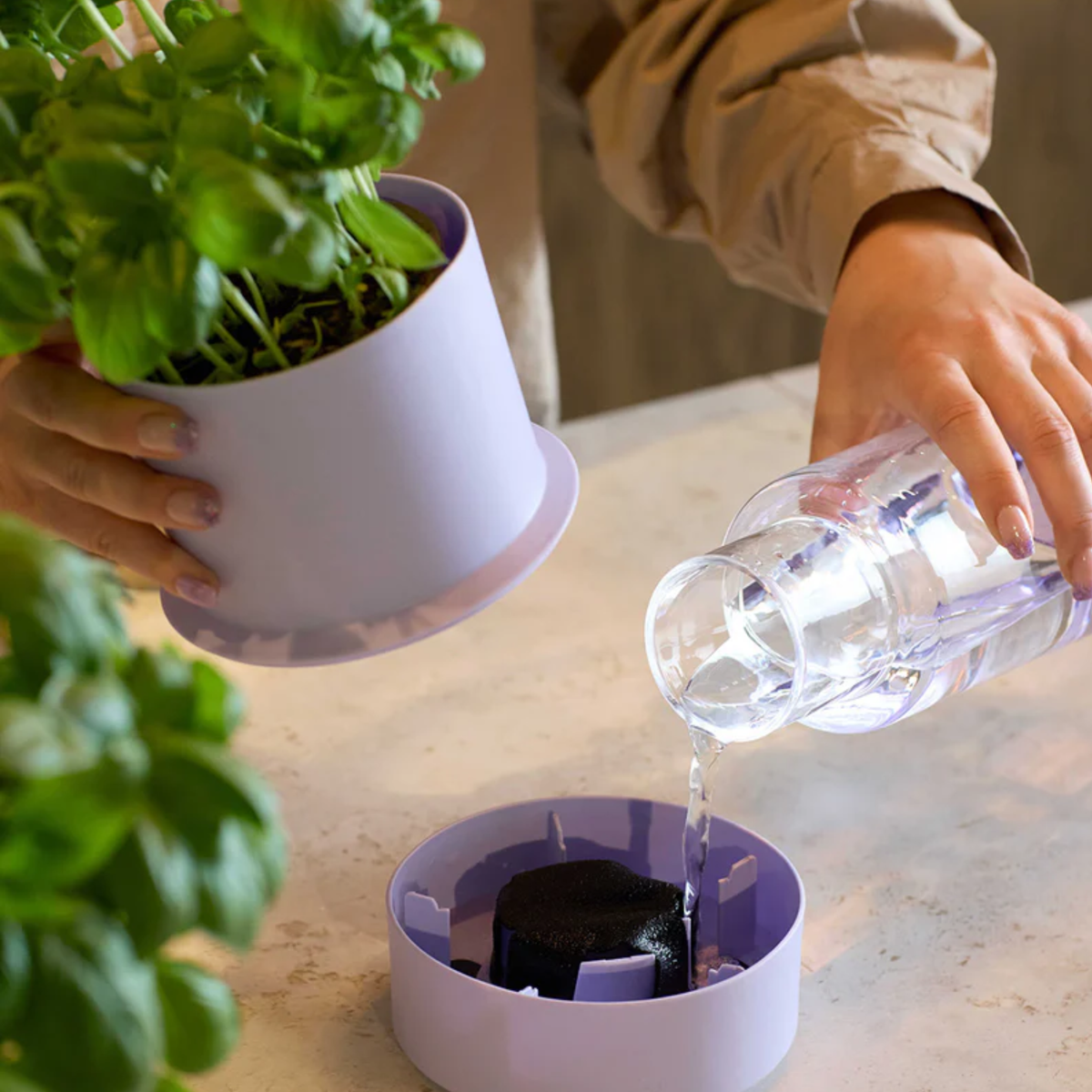 NEW: Crushgrind - Billund Self-Watering Pot - Cumin (14x12cm)