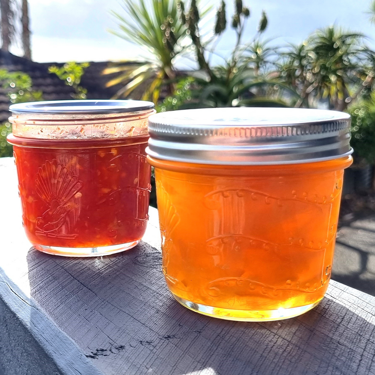 Goodlife - Tapered Glass Preserving Jar Set (of 6) Metal Dome and Band Lid - 250ml