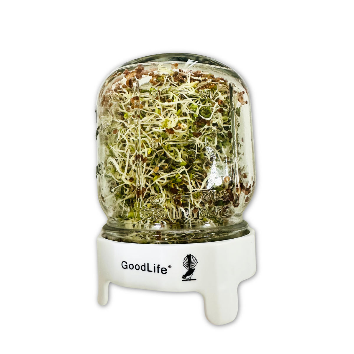 Goodlife - Sprouting Jar Kit 500 ml