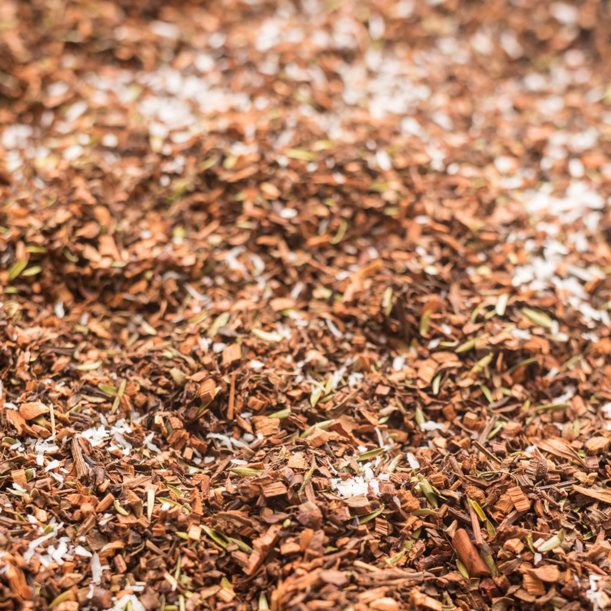 Kerikeri Tea - Lime and Coconut