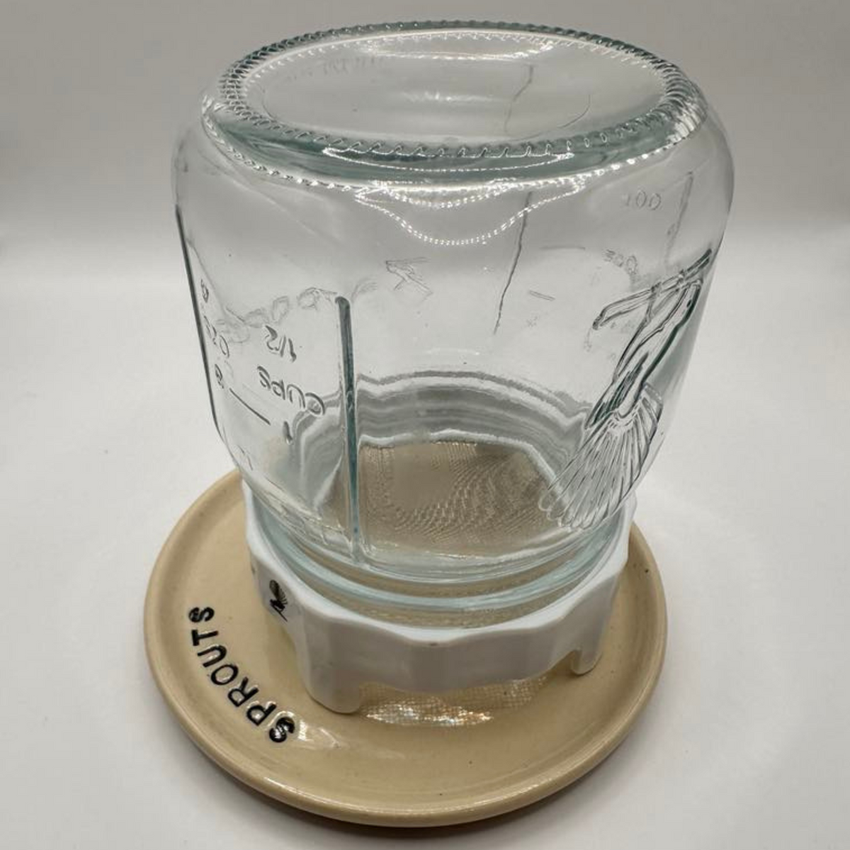 Mudhut Potters Wellington - Sprouting Jar Saucer