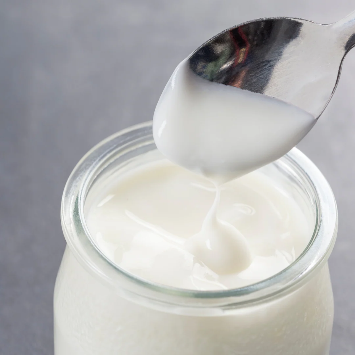 NEW: Symbiota - Viili Yoghurt Heirloom Mesophilic Dry Culture