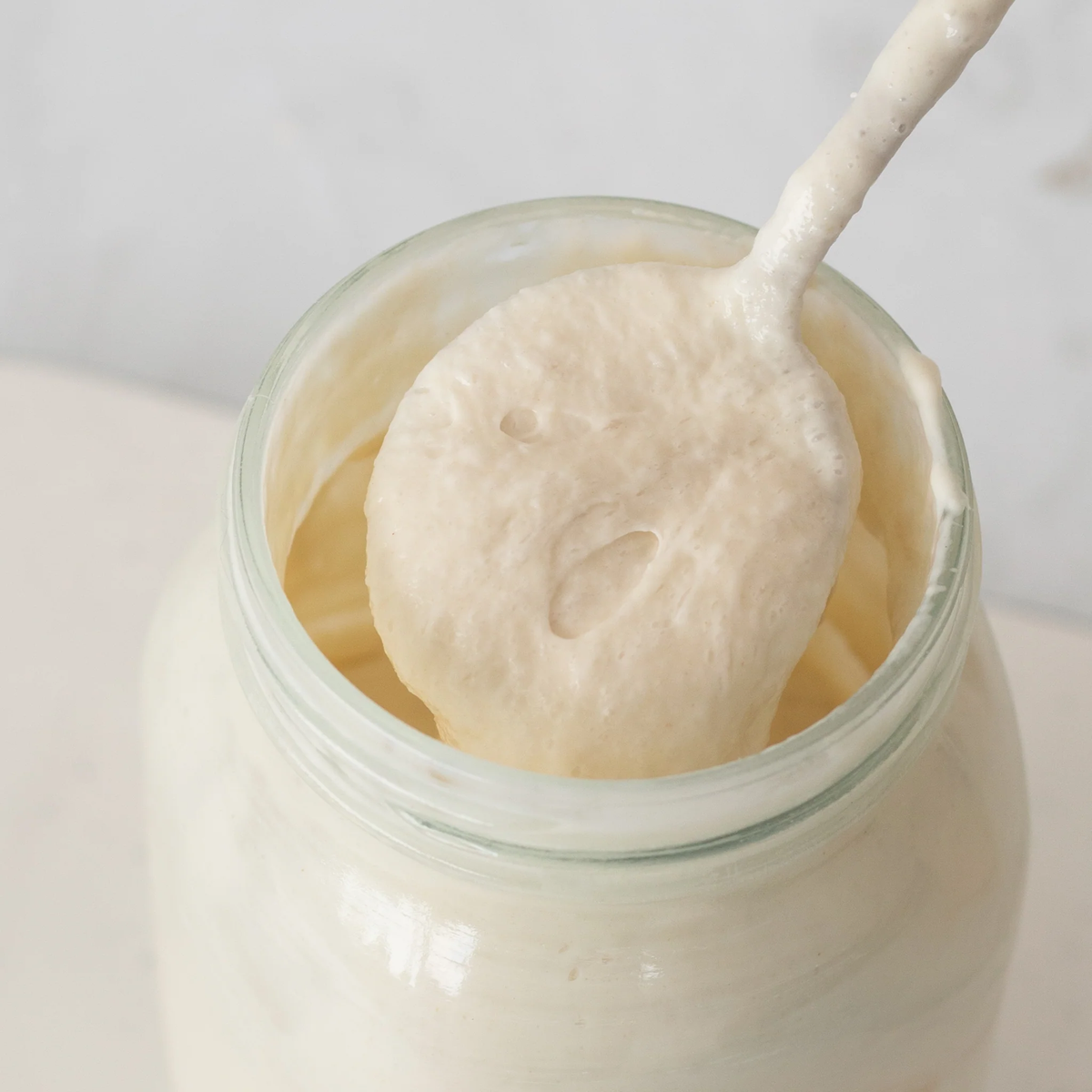 NEW: Symbiota - Organic Sourdough Culture Dried