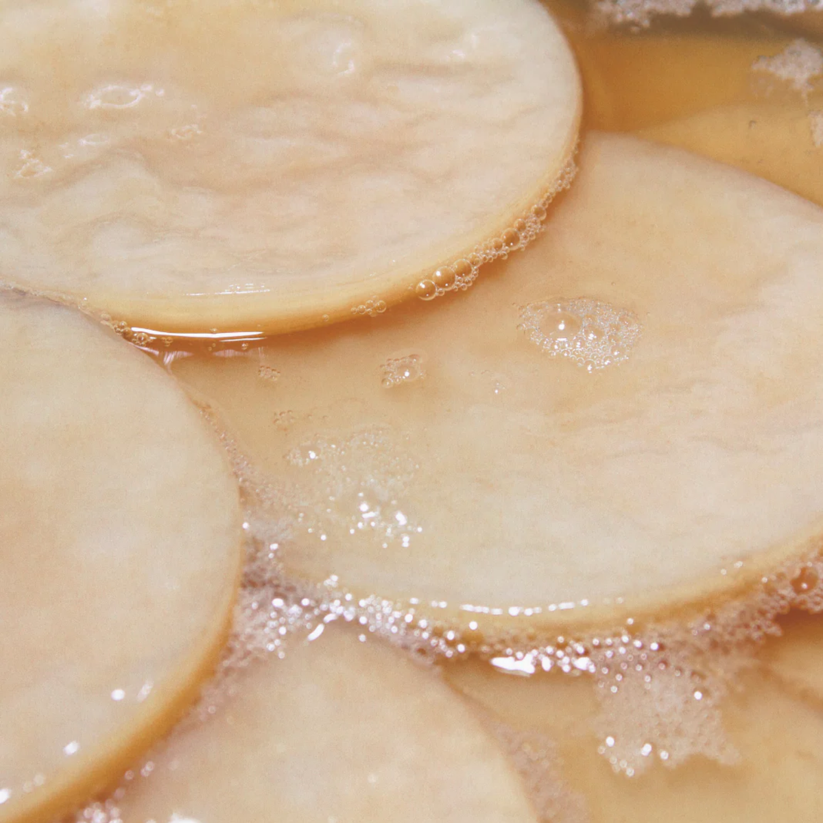 NEW: Symbiota - Organic Kombucha Scoby