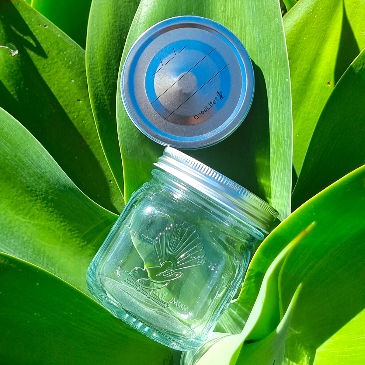 Goodlife - Tapered Glass Preserving Jar Set (of 6) with Screw On Metal Lid - 500ml