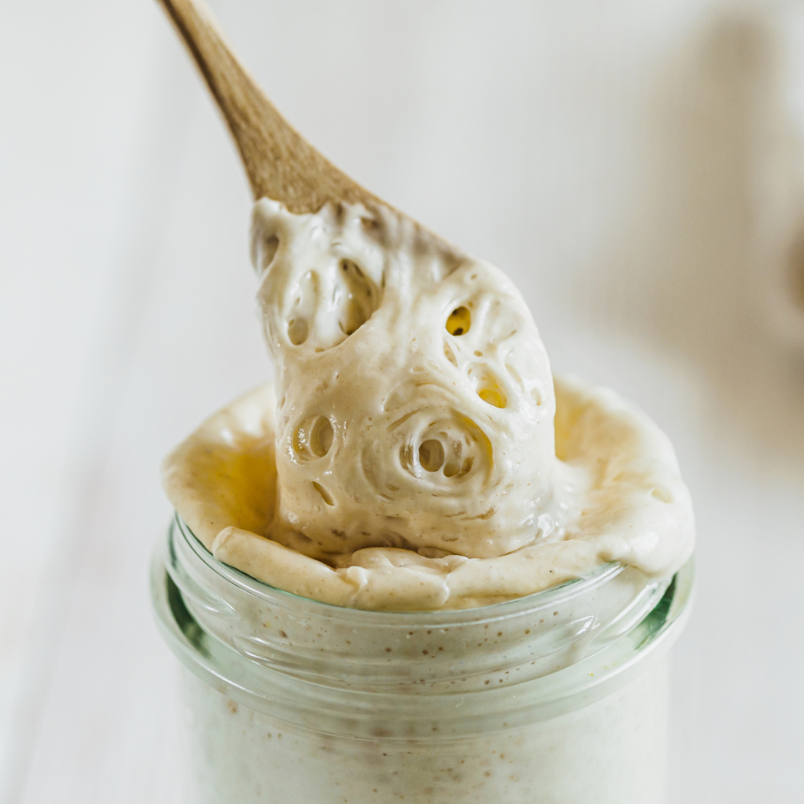 Organic Gluten-free Sourdough Culture Dried