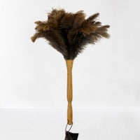 Ecovask - Ostrich Feather duster