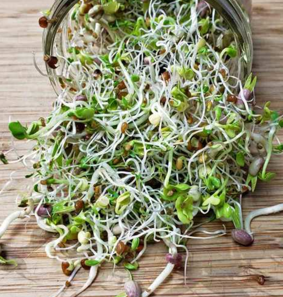 Goodlife - Sprouting Seeds - Spicy Mix 100grm