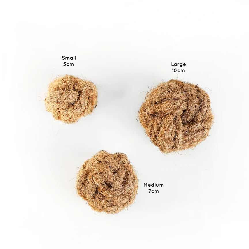 Life of Riley - Coco Husk Ball