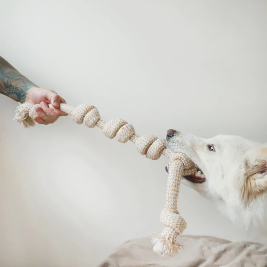 Life of Riley - Hemp Rope Toys