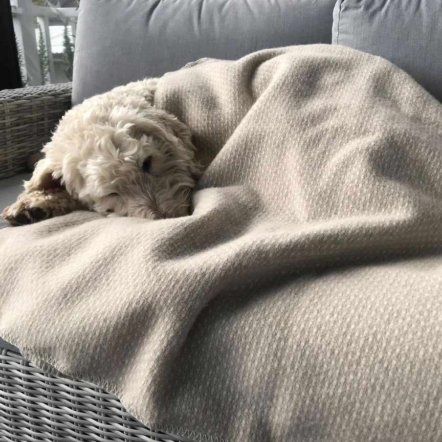 Life of Riley - 100% NZ Wool Blanket