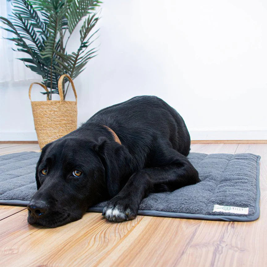 Life of Riley - Roll up Organic Terry Cotton Dog Mat