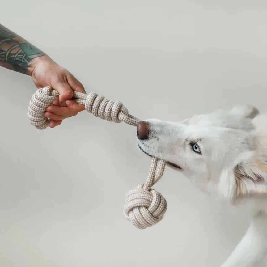 Life of Riley - Hemp Rope Toys