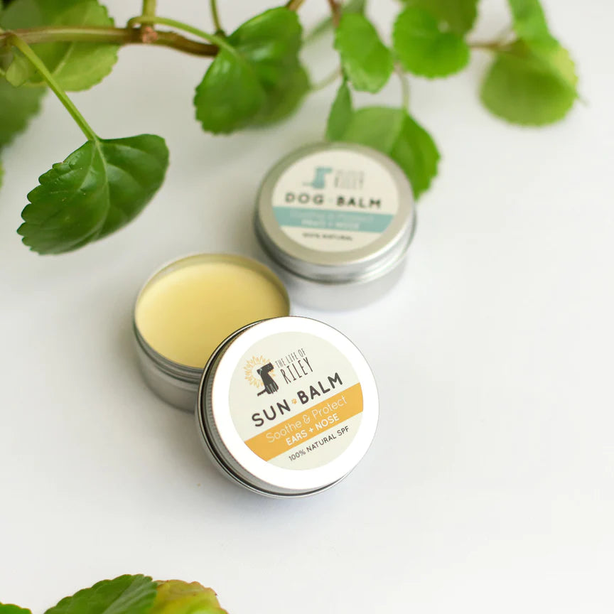Life of Riley - Sun Balm - Dog Sunscreen
