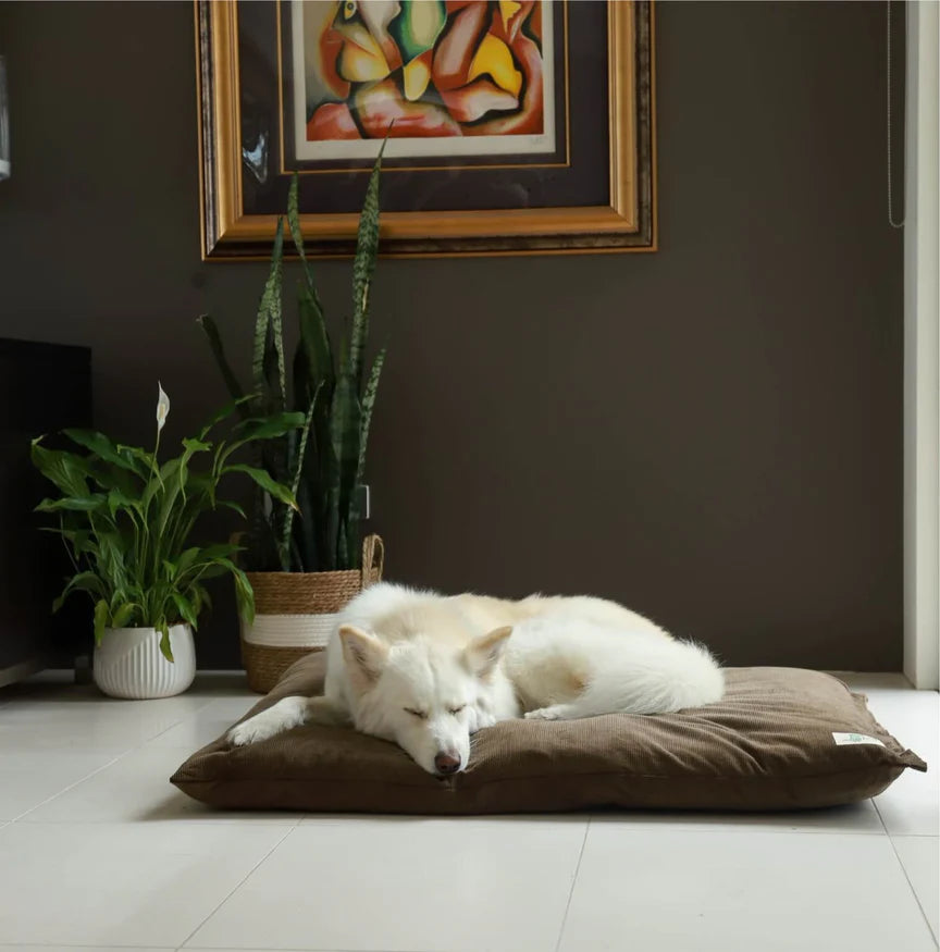 Life of Riley - The Swag Bed incl. mattress protector *