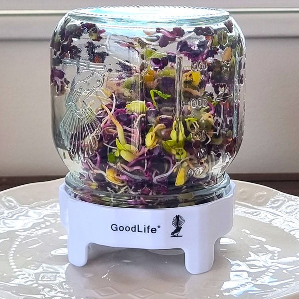 Goodlife Sprouting Jar Kit 500 ml It's Organic Darling
