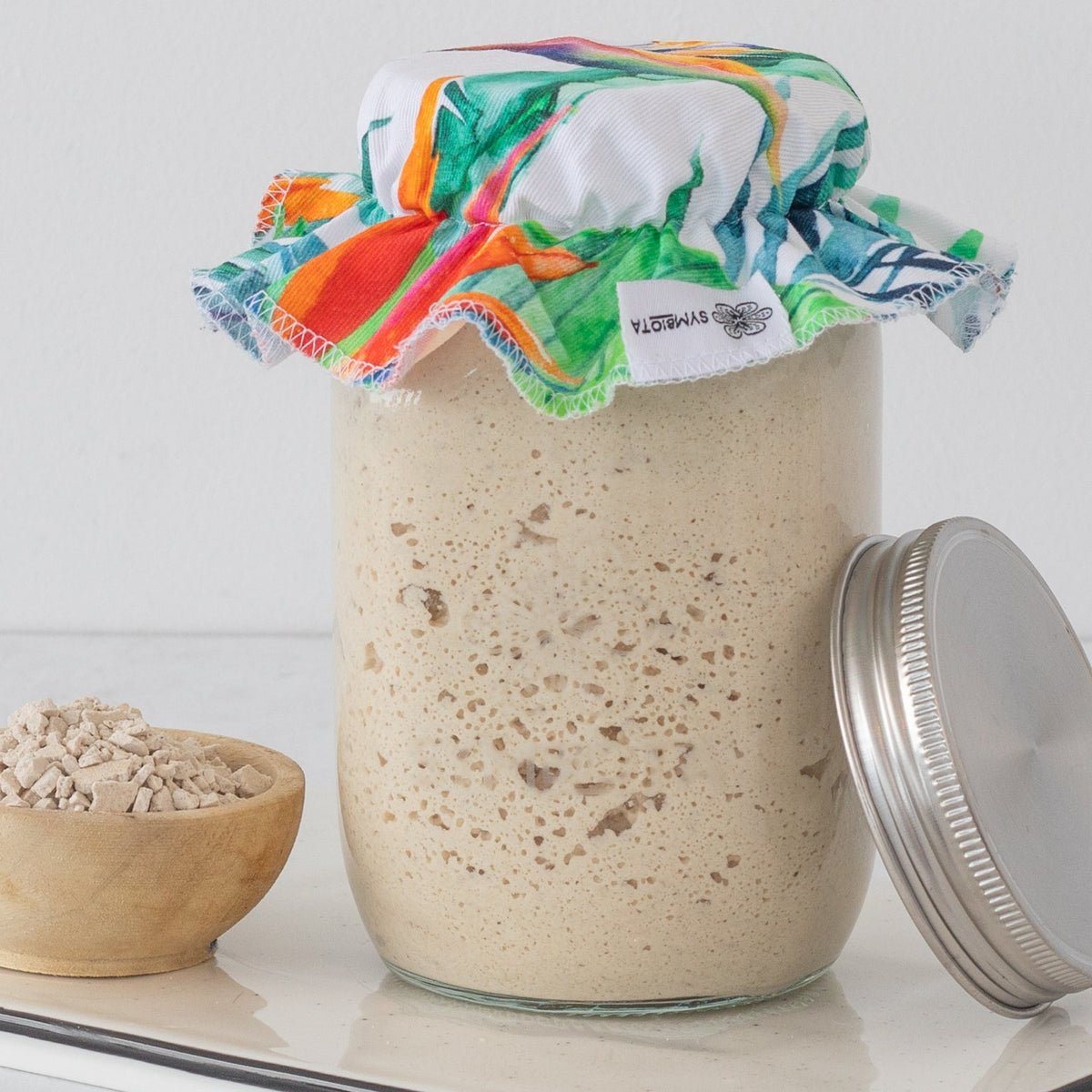 Gluten-free sourdough starter detail