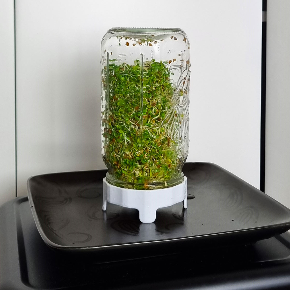 Goodlife - Sprouting Jar Kit 1 Litre