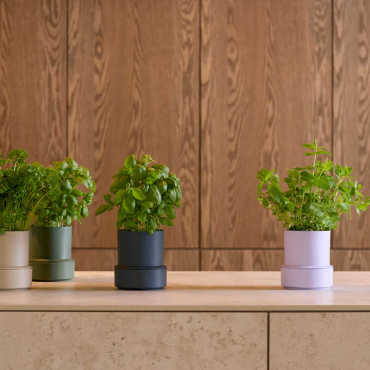 NEW: Crushgrind - Billund Self-Watering Pot - Blueberry (14x12cm)