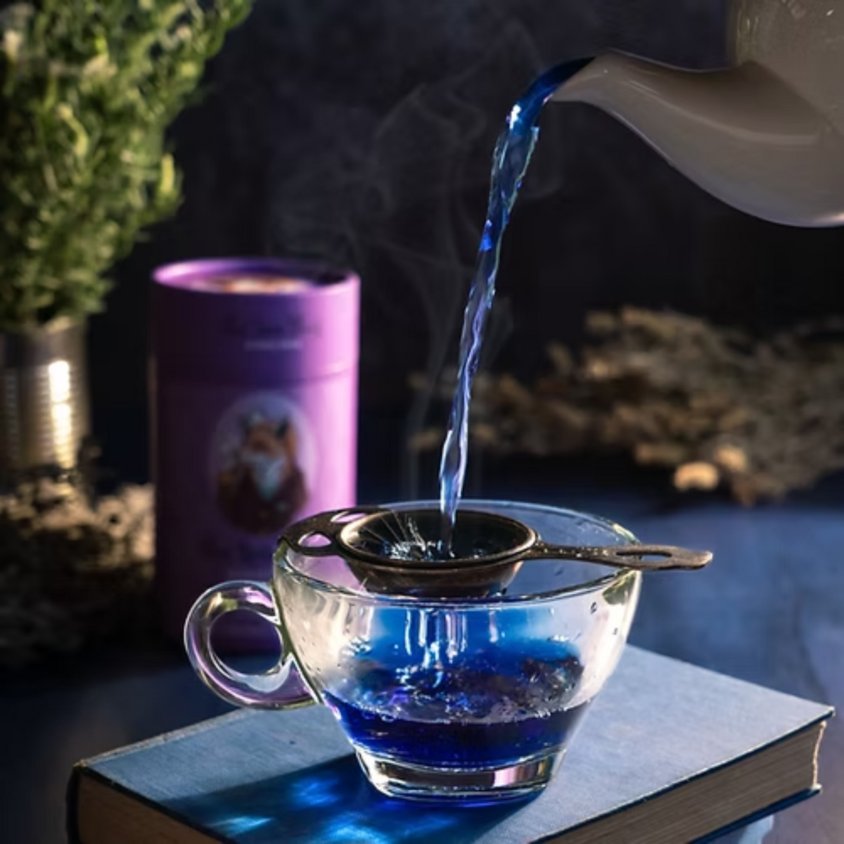 The Tea Thief - Tickety Brew