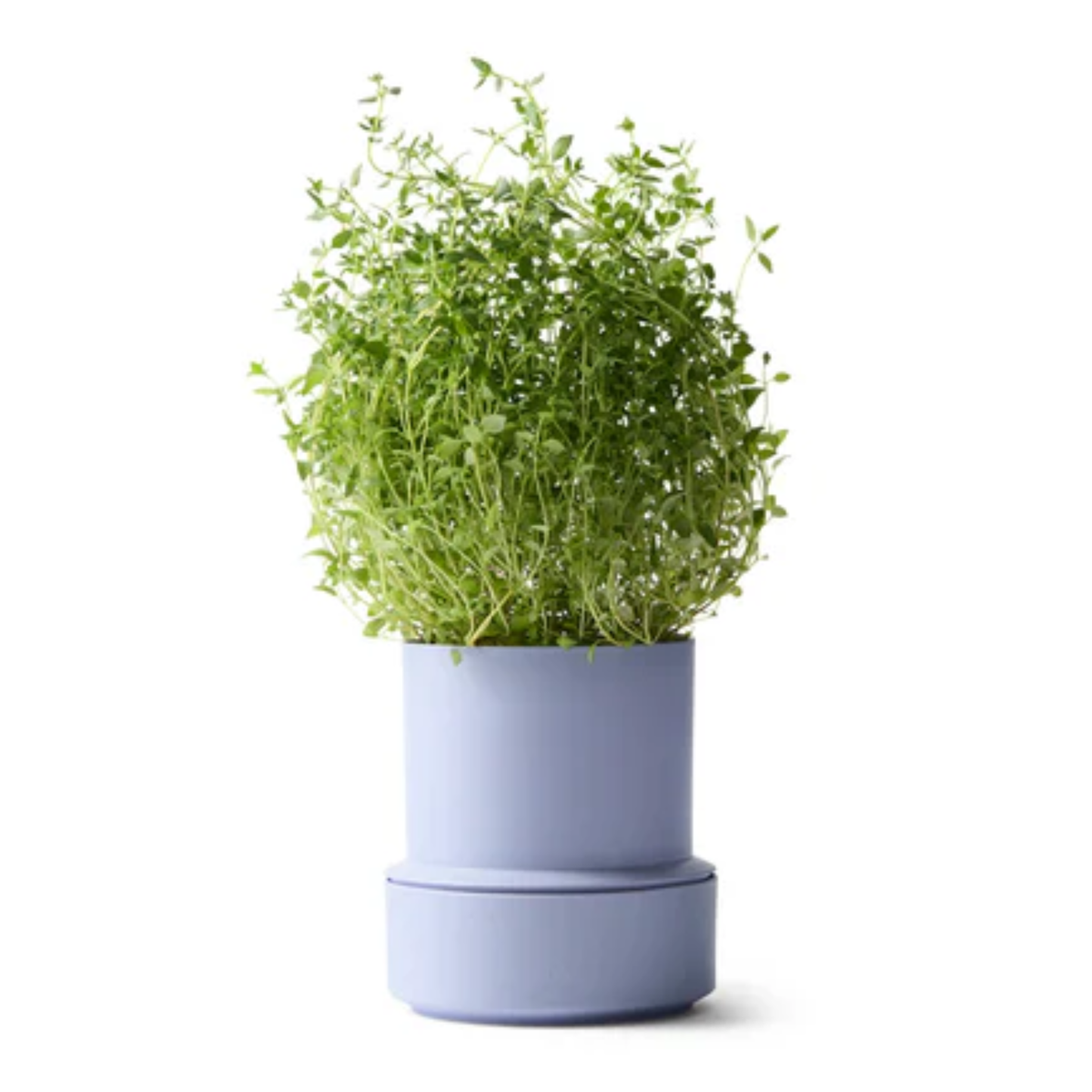 NEW: Crushgrind - Billund Self-Watering Pot - Lavender (14x12cm)
