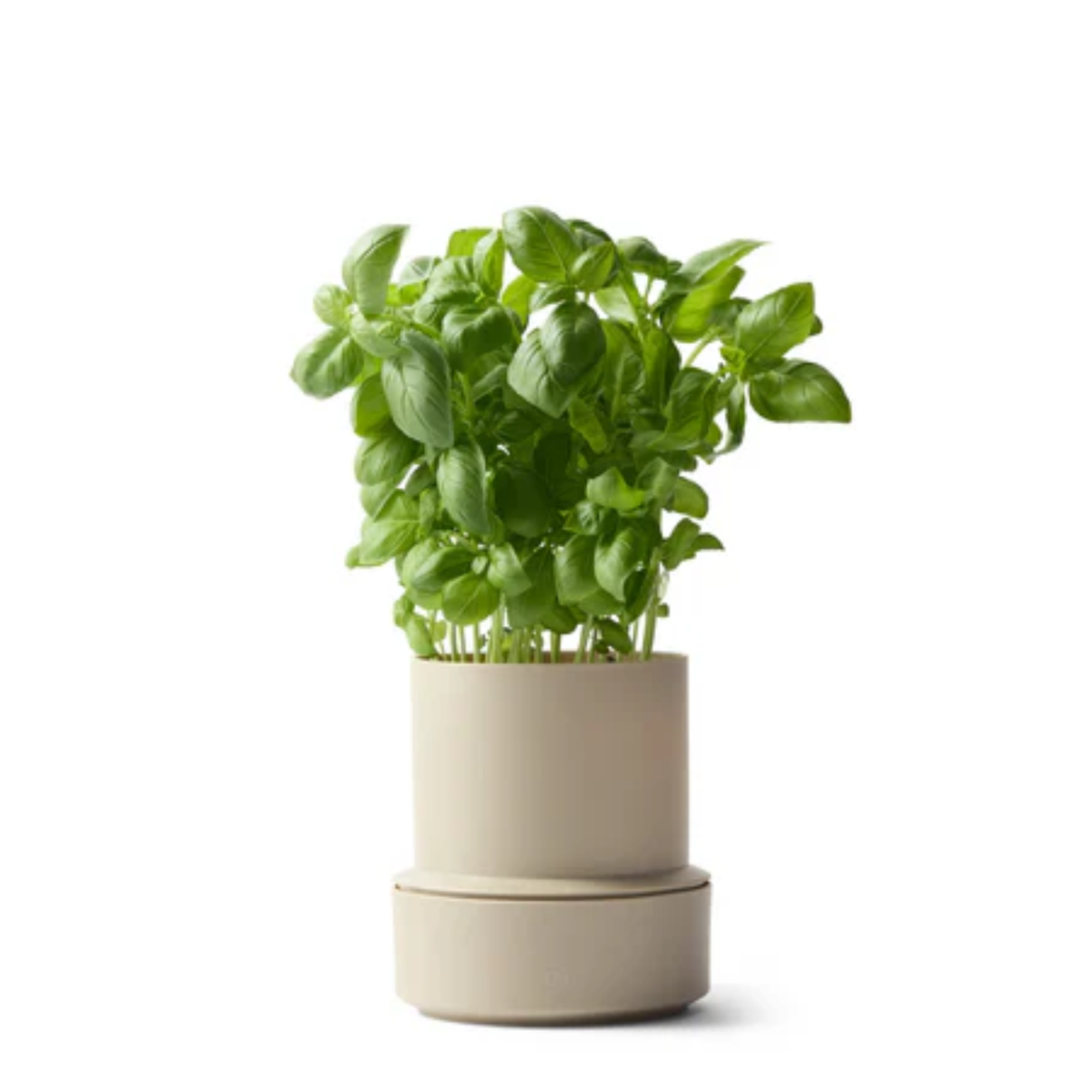 NEW: Crushgrind - Billund Self-Watering Pot - Cumin (14x12cm)