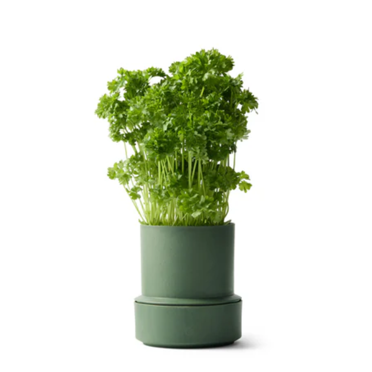 NEW: Crushgrind - Billund Self-Watering Pot - Parsley (14x12cm)