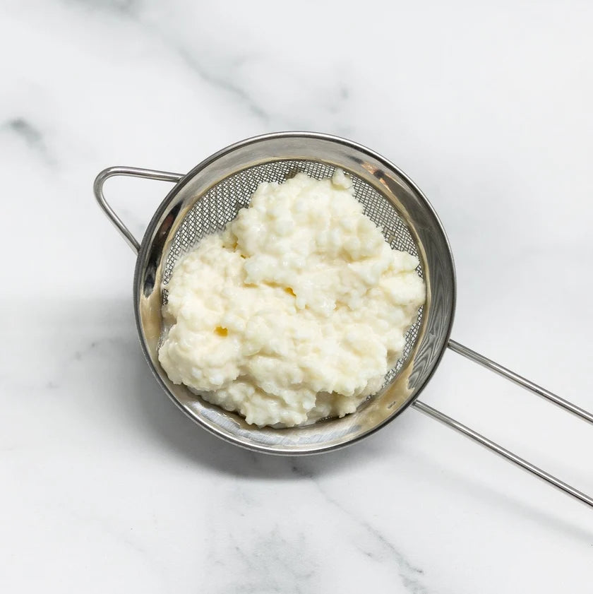 Symbiota - Milk Kefir Grains (Dried)