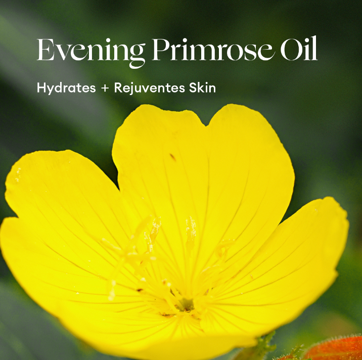Inika Skincare - Phyto-Active Botanical Face Oil