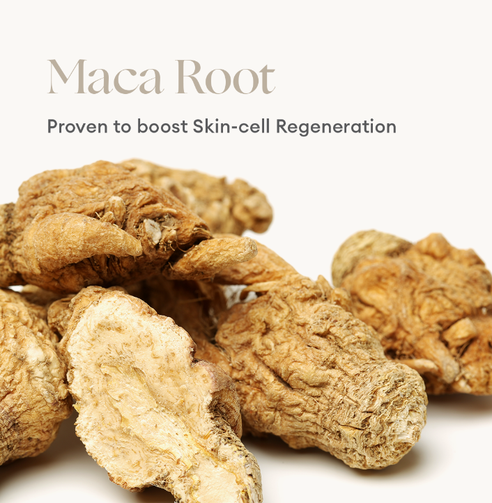 Inika Skincare - Phytofuse Renew Maca Root Day Cream 50ml