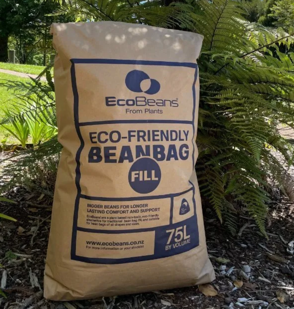 Eco Bean Bag 