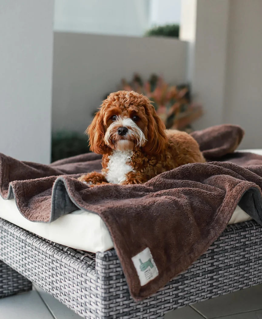 Life of Riley - Organic Cotton Teddy &amp; Terry Blanket