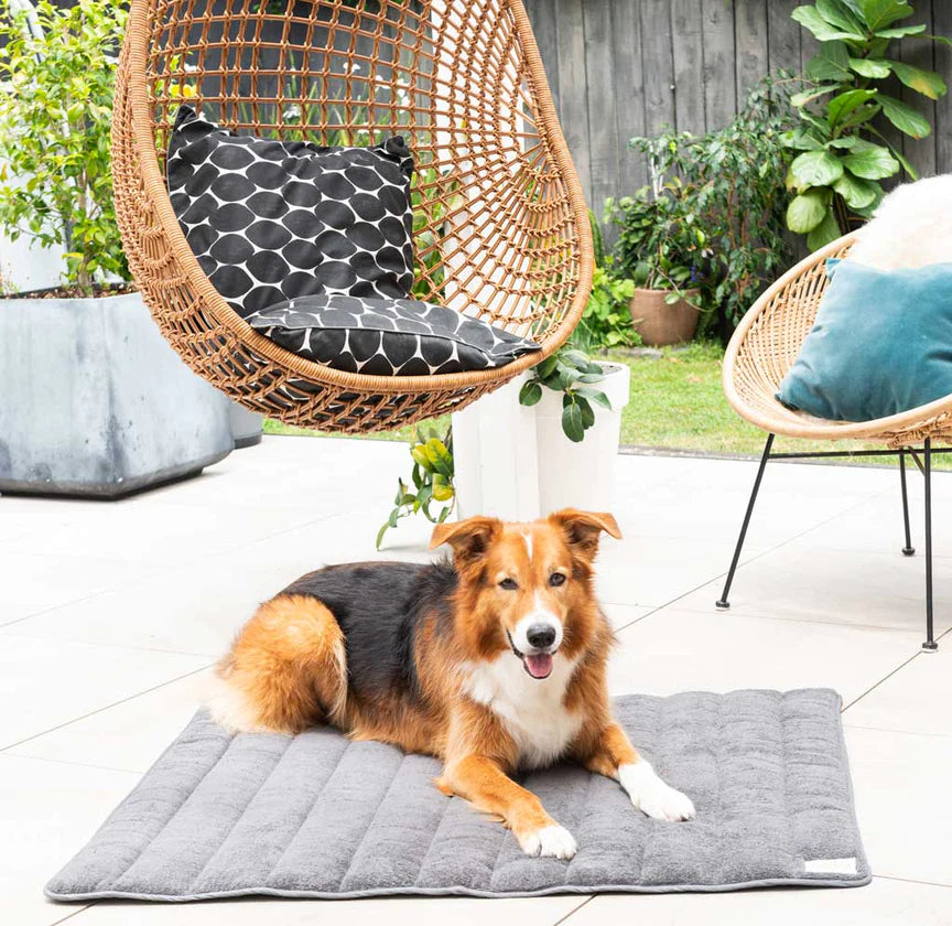 Life of Riley - Roll up Organic Terry Cotton Dog Mat